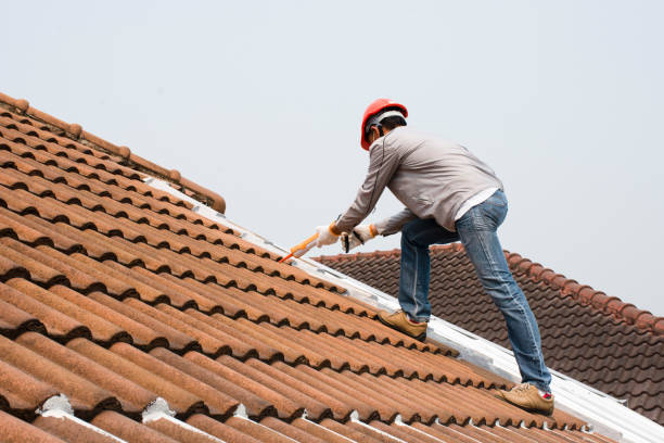 Best Hot Roofs  in Mangonia Park, FL